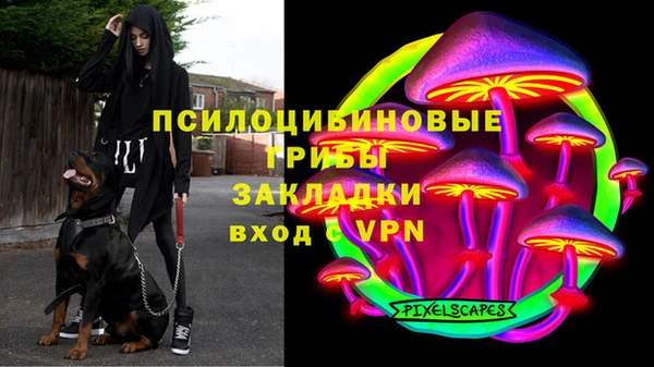 круглые Алзамай