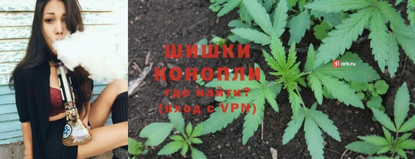 ГАЛЛЮЦИНОГЕННЫЕ ГРИБЫ Абдулино