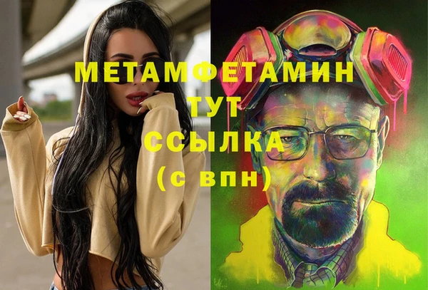 сатива Абинск