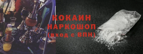 сатива Абинск