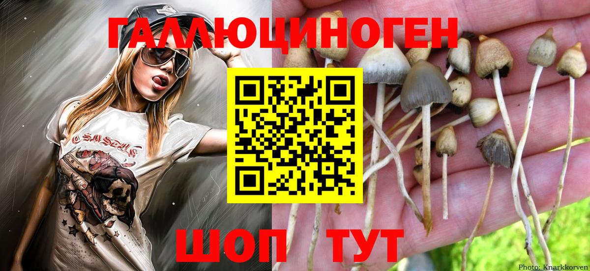 Галлюциногенные грибы MAGIC MUSHROOMS  Галлюциногенные грибы Magic Shrooms  Вход с VPN  Советский 